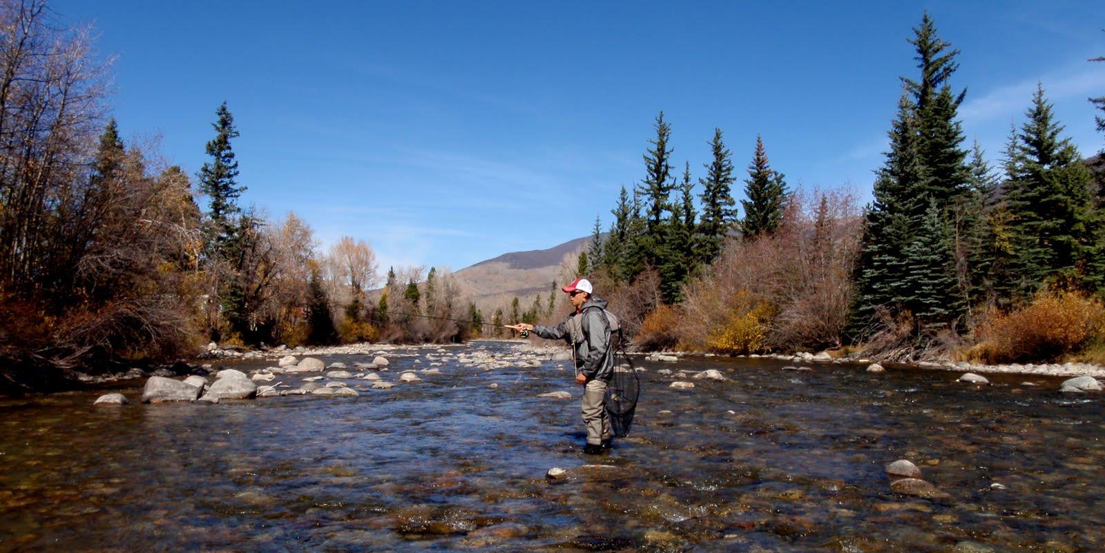 Nice Pics - cody-on-the-blue-october-2010.jpg